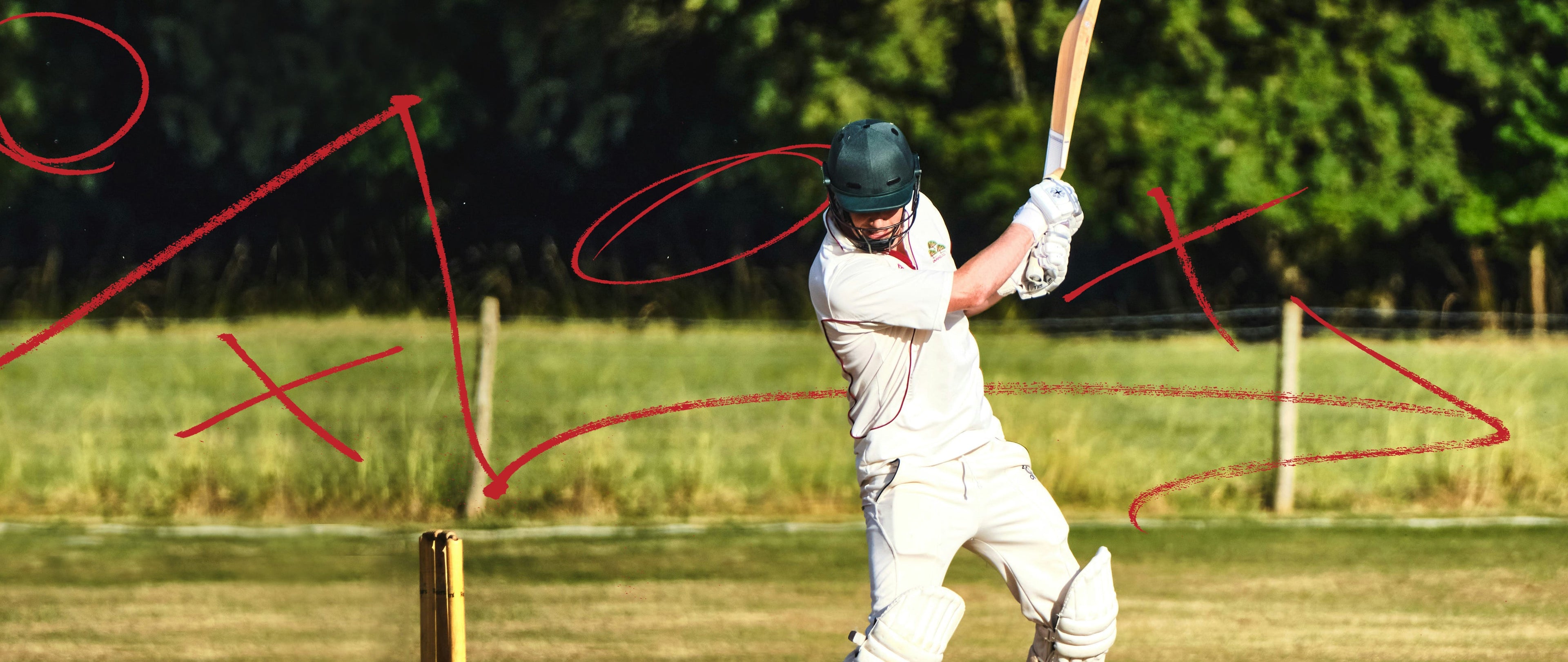 Cricket