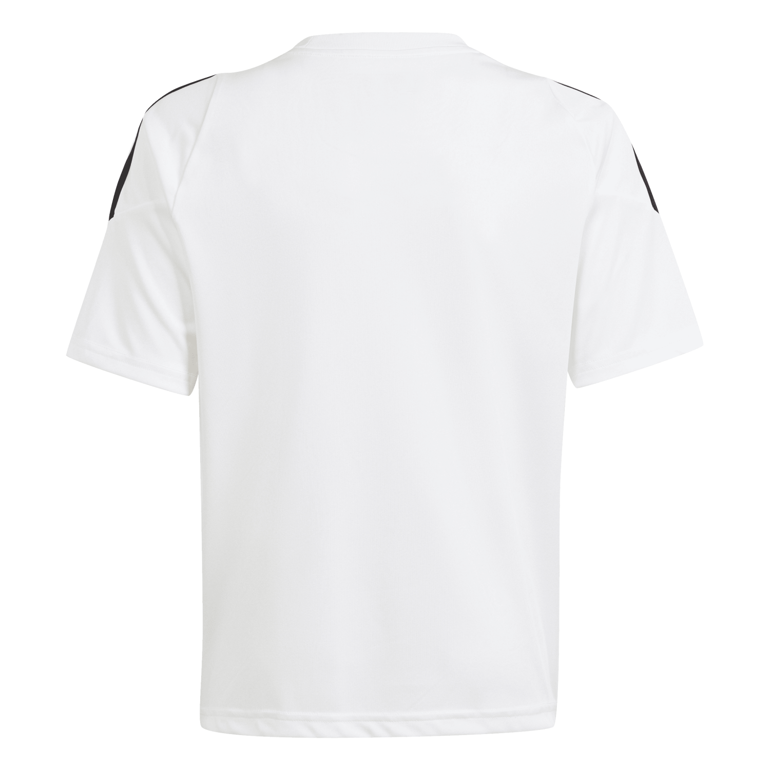 fae584fabe27cabe78f2bbd561c12d59