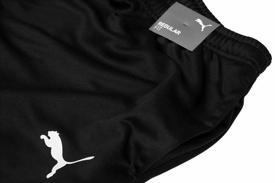 Puma teamRISE Training Pants