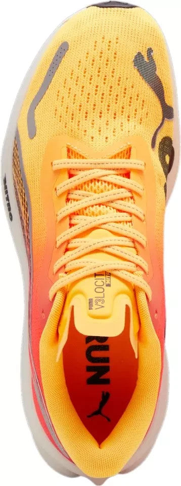 c7d89904e09144907ffcfa38b562fd05