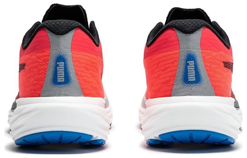 d9d91dc8bde00127d0d3dfc2d7c2b241