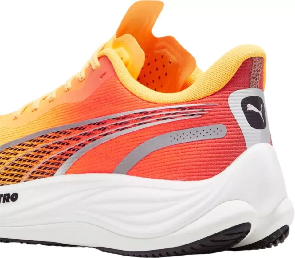 9666b35b23f34bbc7a7ee46e606e686e